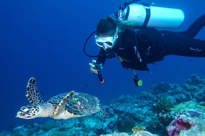 Discover Scuba Diving in Koh Lanta, Thailand - Marine Life and Underwater Visibility