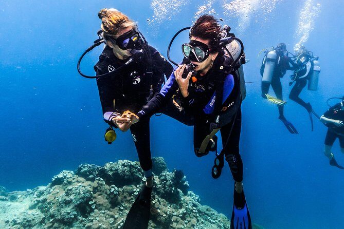Discover Scuba Diving in Pemuteran - Diving Initiation in Bali (Menjangan Park) - The Marine Environment and Why It’s Worth It