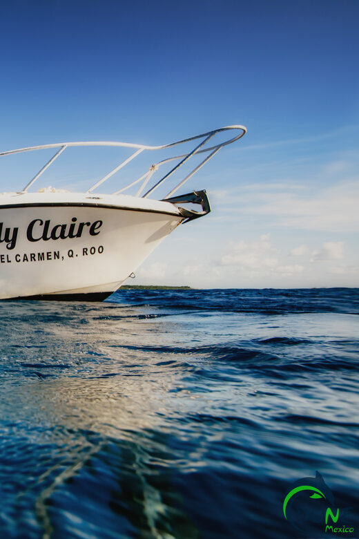 Discover Scuba Diving in Playa del Carmen - 2 dives - The Practicalities: Duration, Cost, and Group Size