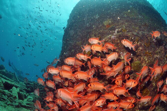 Discover Scuba Diving in Sal - Who Will Enjoy This?