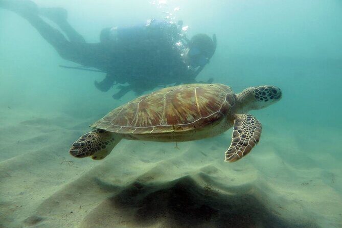 Discover Scuba Diving in San Juan - Key Points