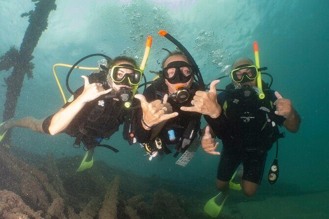 Discover Scuba Diving in San Juan - The Itinerary: What to Expect from Start to Finish