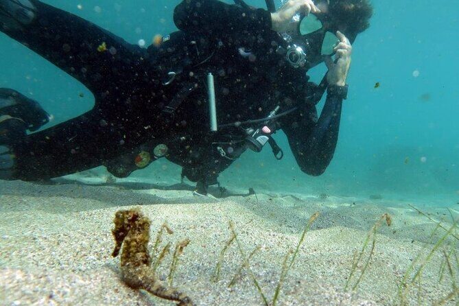 Discover Scuba Diving in San Juan - The Marine Environment: What Youll See and Why It Matters