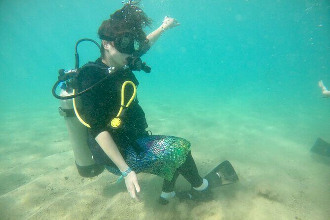 Discover Scuba Diving in San Juan: Perfect for First-Time Divers - The Itinerary in Detail