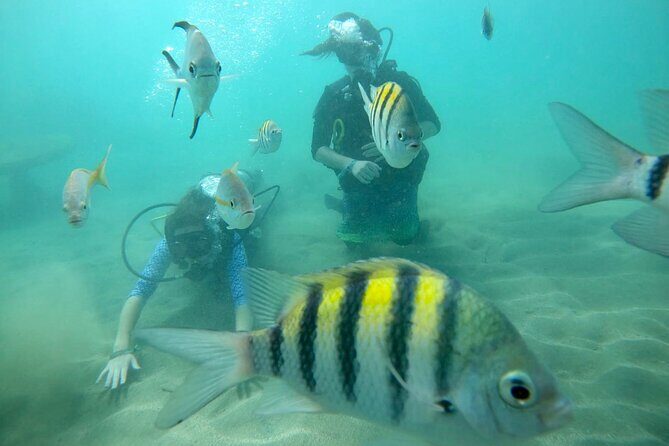 Discover Scuba Diving in San Juan: Perfect for First-Time Divers - Practical Details and Tips