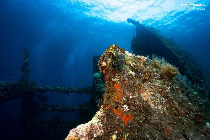 Discover Scuba Diving in Tulamben - Diving Initiation in Bali best diving sites - Final Thoughts