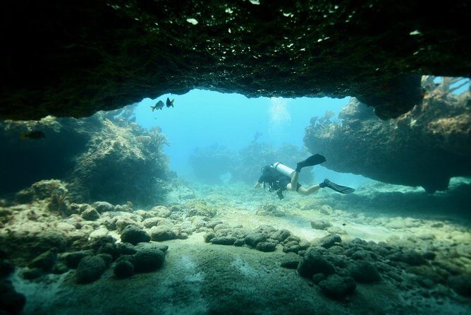 Discover Scuba Diving in Tulum - Why Choose This Tour? A Closer Look