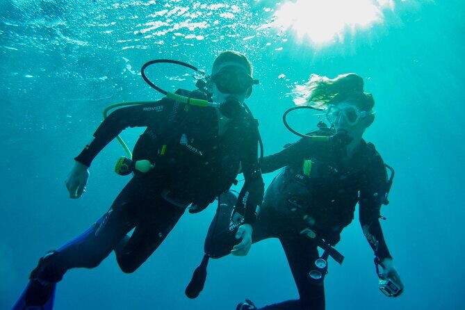 Discover Scuba Diving - Indroductory Dives - Discover Scuba Diving – Indroductory Dives in Eilat, Israel