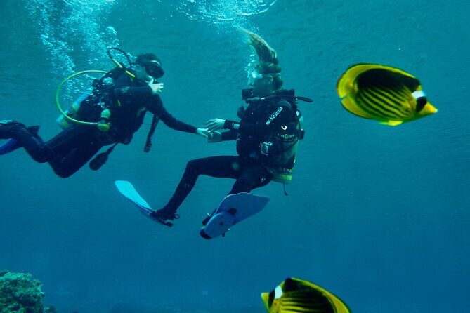 Discover Scuba Diving - Indroductory Dives - The Sum Up