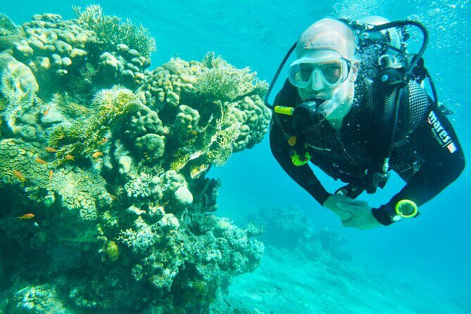 Discover Scuba Diving - Indroductory Dives - FAQ