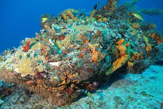 Discover Scuba Diving PADI in Playa del Carmen including underwater video - Introduction: A Friendly First Step into the Underwater World