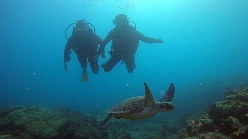 Discover Scuba Diving Program for Beginners - The Sum Up