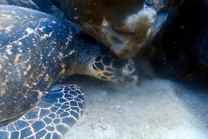 Discover Scuba Diving, try dive for beginners ( Start at Ko Kut) - Frequently Asked Questions