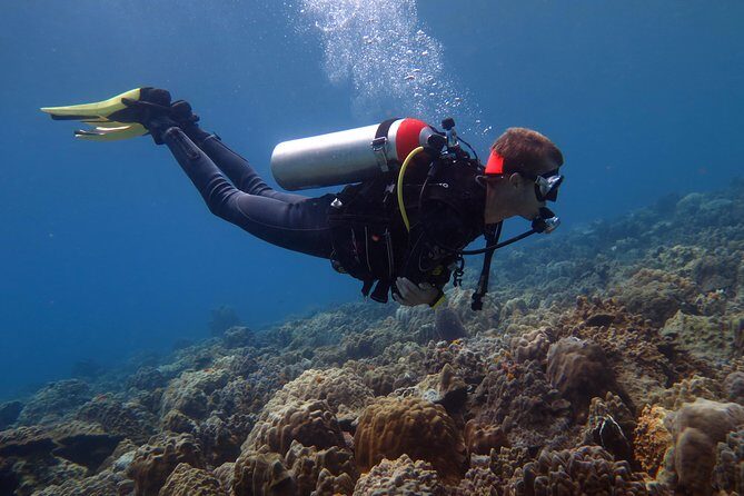 Discover Scuba diving, try diving for beginners (starts from Koh Chang) - Key Points