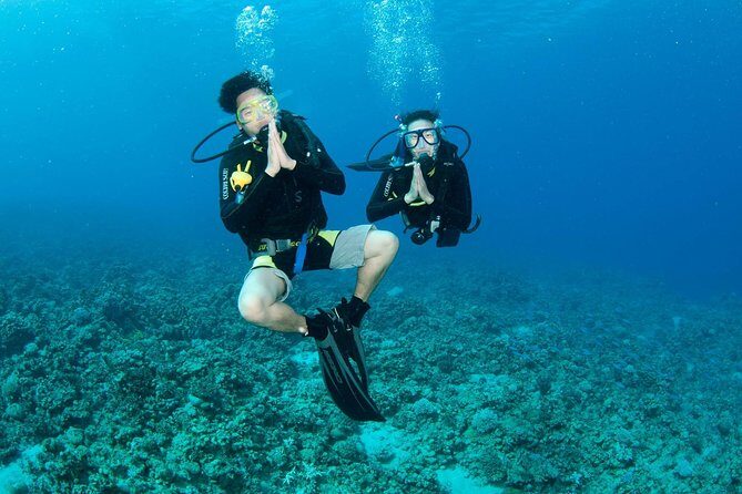 Discover Scuba diving, try diving for beginners (starts from Koh Chang) - What to Expect on Your Day of Diving