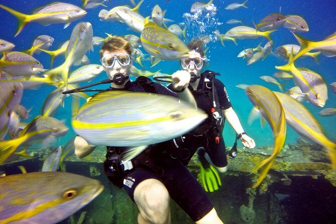 Discover Scuba Diving with No Certification in St Thomas - An In-Depth Look at the Discover Scuba Diving Experience in St. Thomas