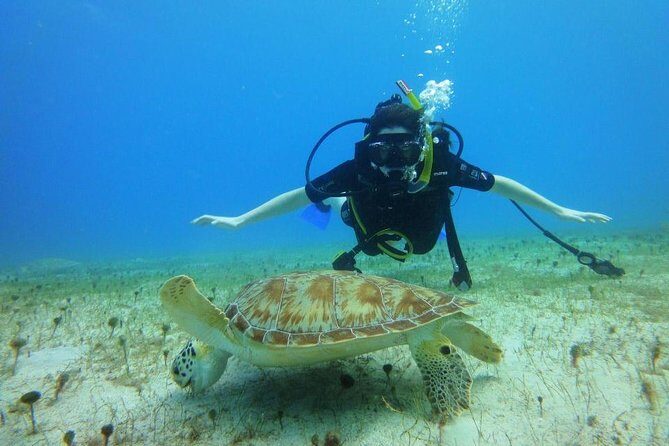 Discover Scuba Diving with No Certification in St Thomas - The Sum Up