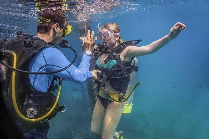 Discover Scuba experience at Las Caletas, Puerto Vallarta - A Balanced Look at the Experience