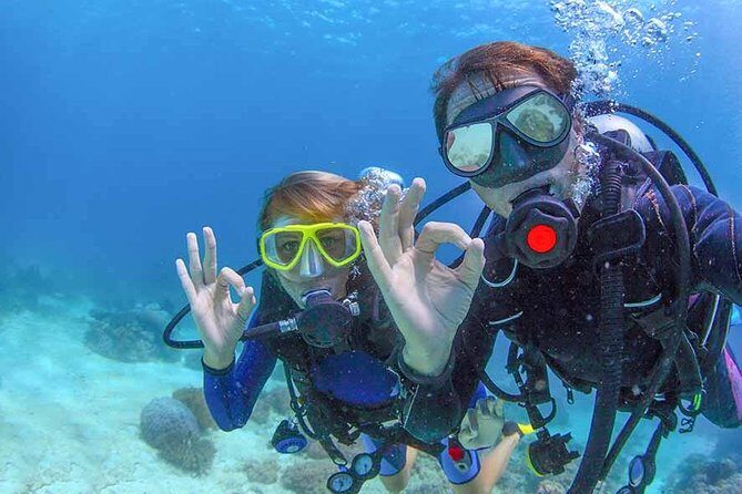 Discover Scuba experience at Las Caletas, Puerto Vallarta - The Practicalities