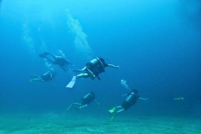Discover Scuba experience at Las Caletas, Puerto Vallarta - The Sum Up