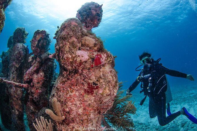 Discover scuba ,MUSA and Manchones reef dive without license - The Sum Up
