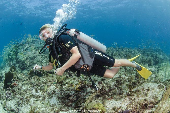 Discover scuba ,MUSA and Manchones reef dive without license - Frequently Asked Questions