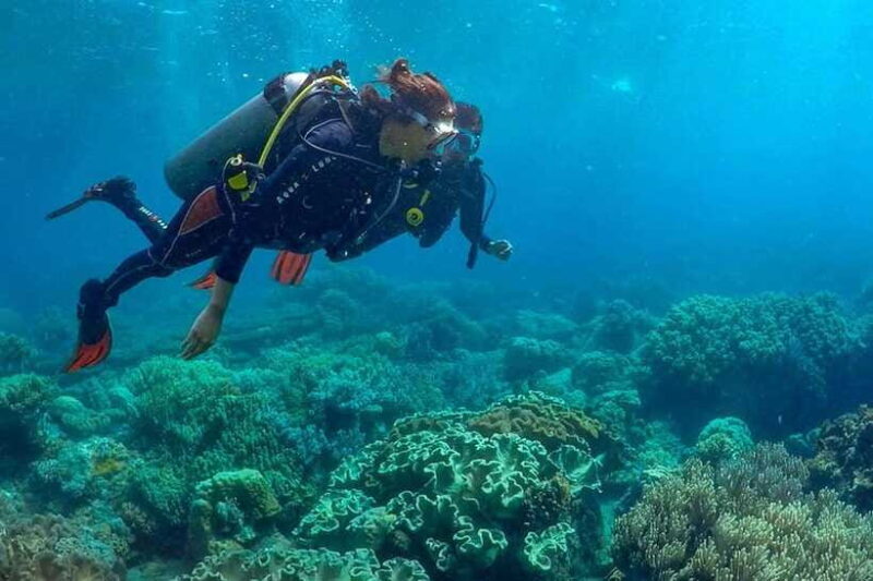 Discover Scuba: PADI Intro Dive in Dauin - The Bottom Line