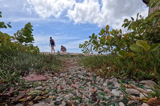 Discover Sea Glass Island: Arubas Must-Do Adventure - The Value of This Adventure