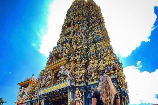 Discover Sigiriya Dambulla and Minneriya Park in Day Tour - Why Choose This Tour?