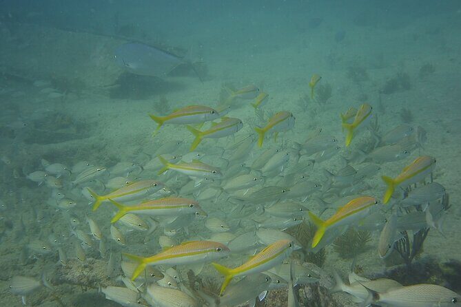 Discover Snorkeling Tour in Panama City - Exploring the Snorkeling Adventure in Panama City