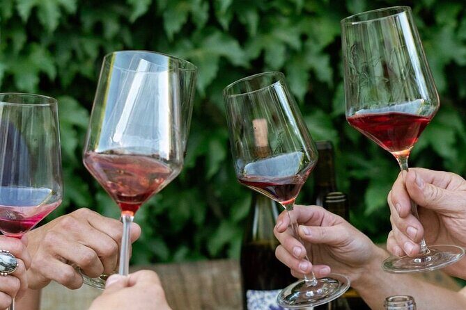 Discover Sonoma's Natural Wineries in Small-Group Tour - An In-Depth Look at the Tour Experience