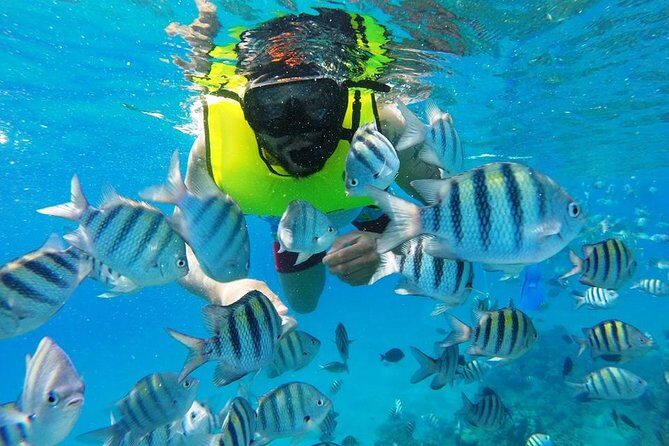 Discover Sosua's Underwater World & Beach Day - A Deep Dive into What the Tour Offers