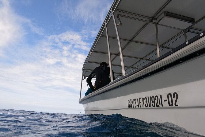 Discover Sosua's Underwater World & Beach Day - FAQ: Common Questions About the Sosua Snorkeling & Beach Day Tour