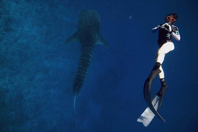 Discover South Ari Atoll - Full Day Tour from Male city - FAQs