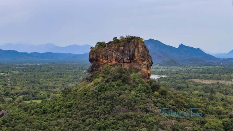Discover Sri Lanka: 5-Day Cultural & Coastal Tour - The Sum Up