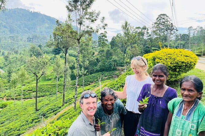 Discover Sri Lanka with Tailored Tours for Timeless Memories - A Detailed Look at What to Expect