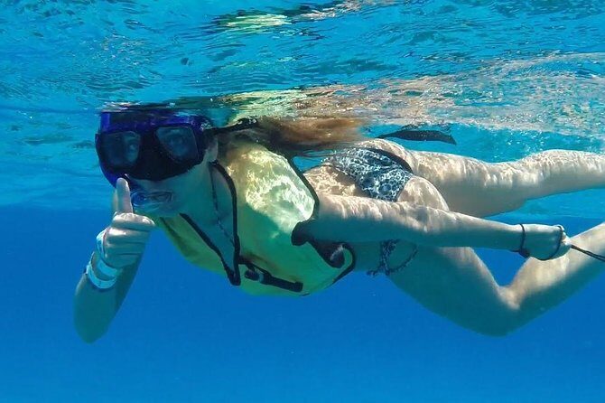Discover starfish, swim and snorkel at El Cielo Cozumel Reef - An In-Depth Look at the Tour Experience
