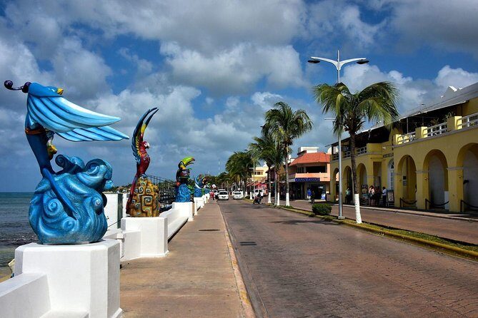 Discover starfish, swim and snorkel at El Cielo Cozumel Reef - Frequently Asked Questions (FAQs)