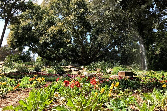 Discover Sydney - Botanic - The Sum Up