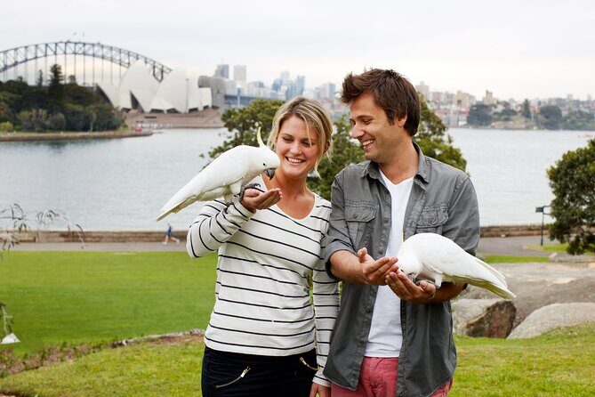 Discover Sydney in Style: Half-Day Private Tour for First-Timers - Key Points