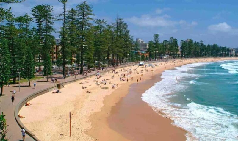 Discover Sydney - Private walking tour - An In-Depth Look at What the Tour Offers