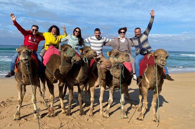 Discover Tangier in a Full Day Tour with Camel ride - Key Points