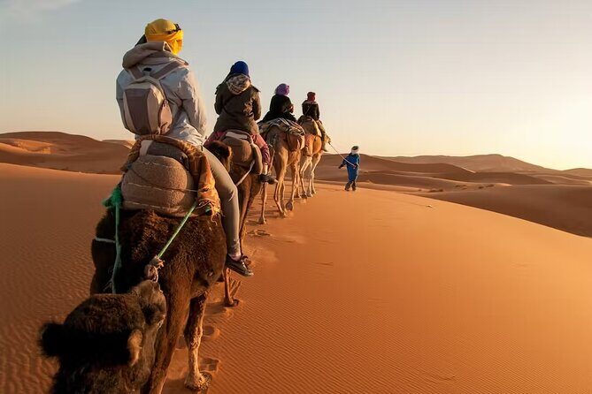 Discover Tangier's Best: Full-Day Private Tour with Local Guide - Price and Value