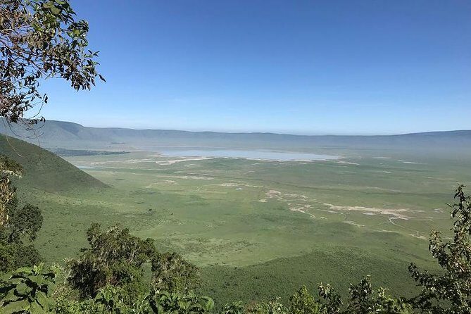 Discover Tanzania through the 3 wild classics - Introduction: Why Consider This Tanzanian Safari?