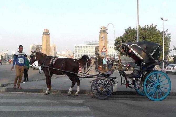 Discover The Amazing Nightlife Of Cairo And Riding the Carriage - An In-Depth Look at the Tour Experience