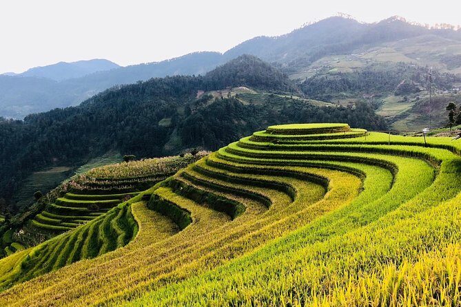 Discover the Beauty of Sa Pa: A One-Day Trek - What Real Travelers Say