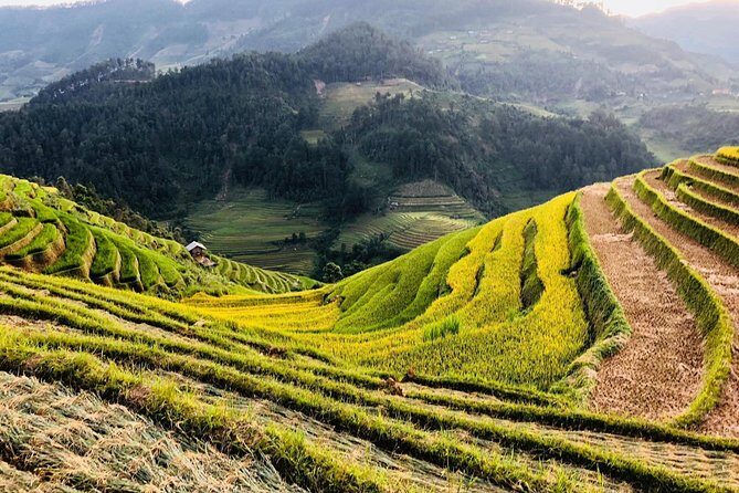 Discover the Beauty of Sa Pa: A One-Day Trek - The Sum Up: Who Will Love This Tour?