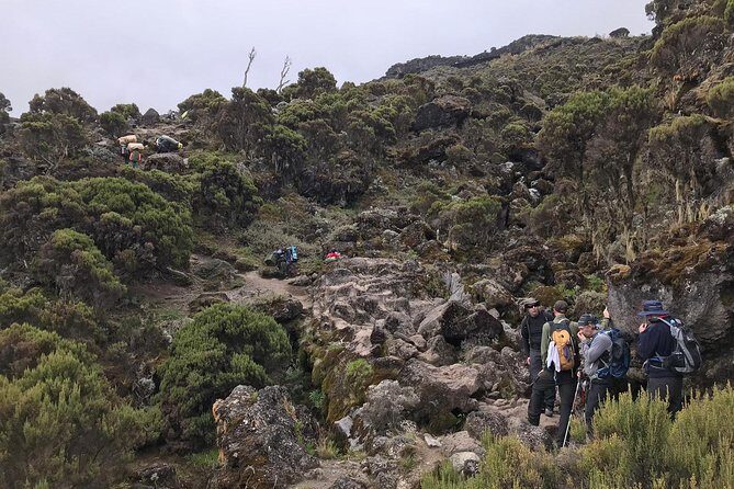 Discover The Best 7-day Kilimanjaro climbing via Machame route - Why Travelers Rate This Tour So Highly