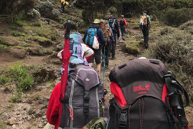Discover The Best 7-day Kilimanjaro climbing via Machame route - In Summary