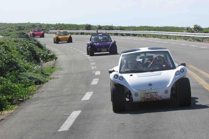 Discover the Best Buggy Adventure in Cozumel from Riviera Maya - Key Points